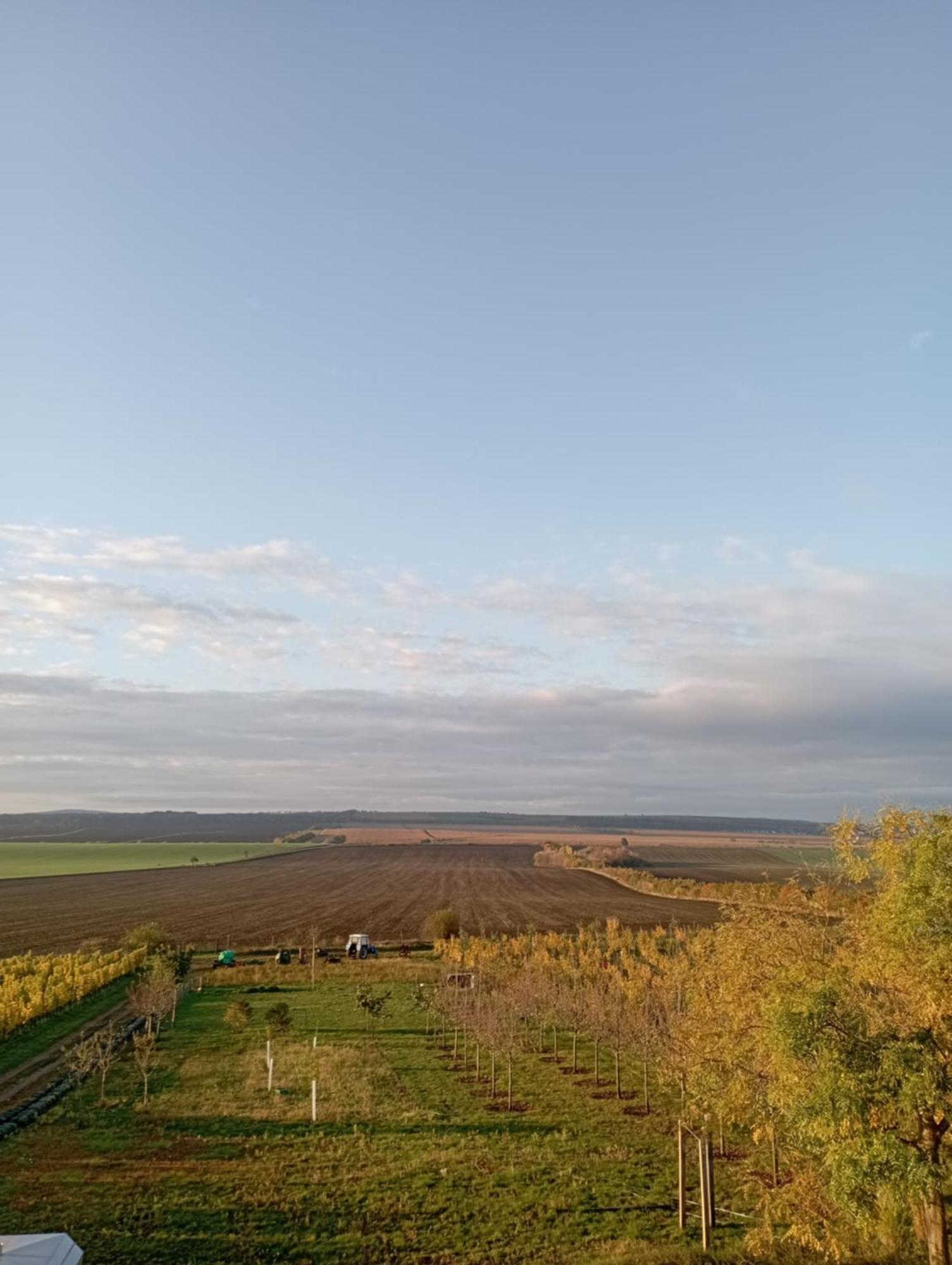 Vinarsky Penzion Strachotice Zewnętrze zdjęcie